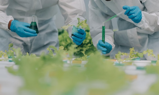 Foto zwei asiatische landwirte überprüfen die qualität von bio-gemüse, das mit hydroponik angebaut wird