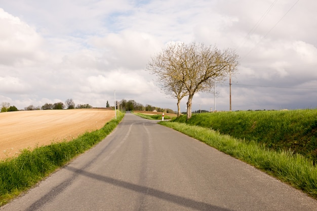 Zwei Bäume unter blauem Himmel mit Wolken - schöne Landschaft