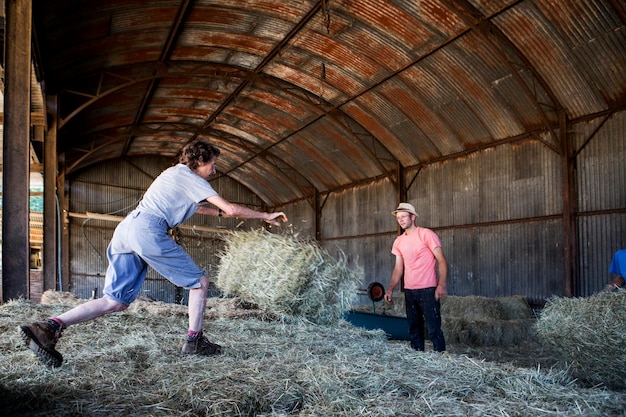 Foto zwei bauern stapeln heuballen in einer scheune