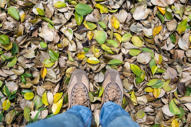 Zwei Beine stehen auf trockenen Blättern im Herbst.