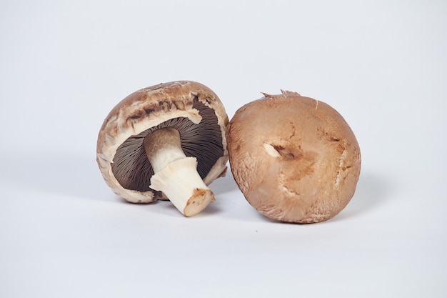 Zwei Champignon-Pilze, braune Sorte, lokalisiert auf weißem Hintergrund.