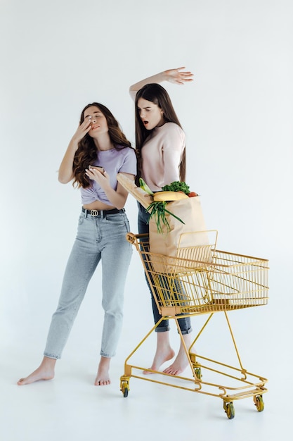 Zwei europäische Mädchen haben Spaß nach dem Einkaufen. Innenporträt von ekstatischen Schwestern, die zusammen posieren.