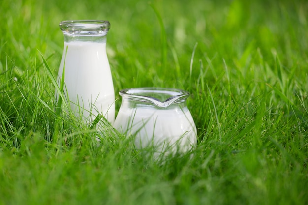 Zwei Flaschen frische Milch über Sommerhintergrund