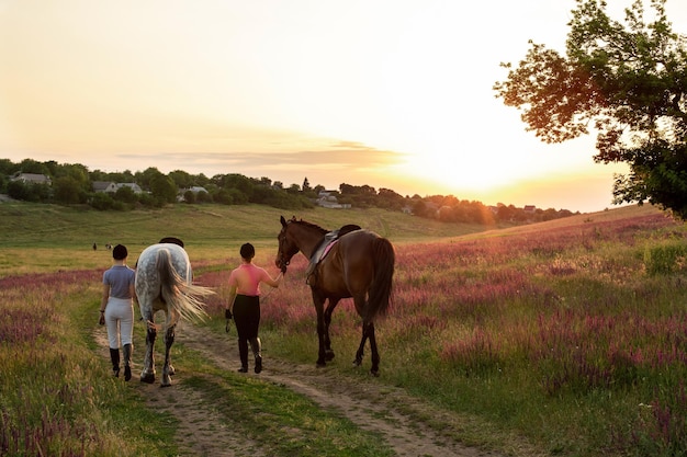 Zwei Frauen und zwei Pferde im Freien im Sommer glücklicher Sonnenuntergang zusammen Natur