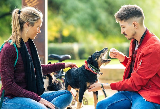 Zwei Freunde spielen mit einem alten kleinen Hund, während sie an einem sonnigen Tag in einem öffentlichen Park sitzen