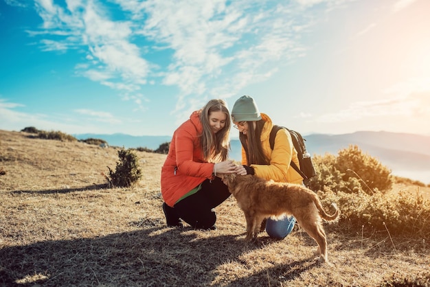 Zwei Freunde spielen mit einem Hund in der Natur