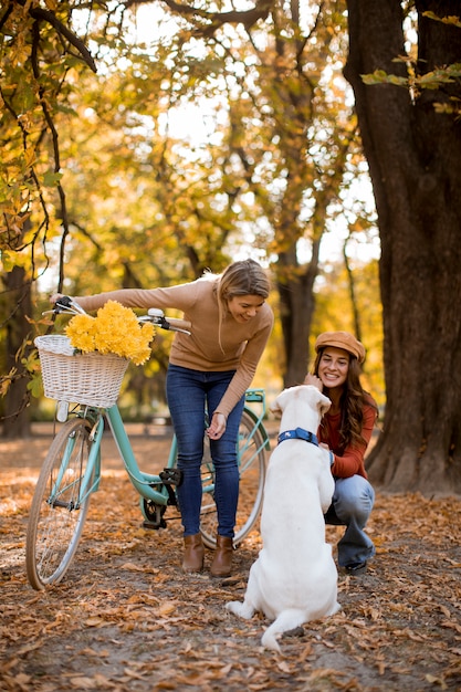 Zwei Freundinnen, die in den gelben Herbstpark mit Hund und Fahrrad gehen