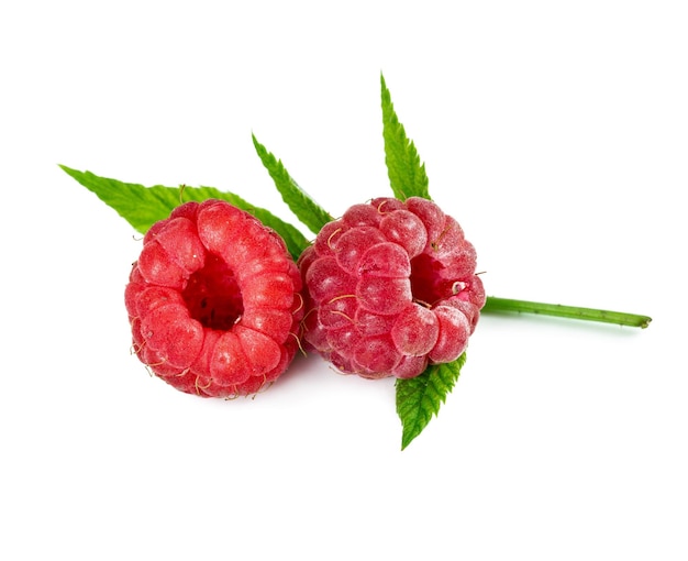 Zwei frische Himbeeren auf Blättern isoliert auf weißem Hintergrund