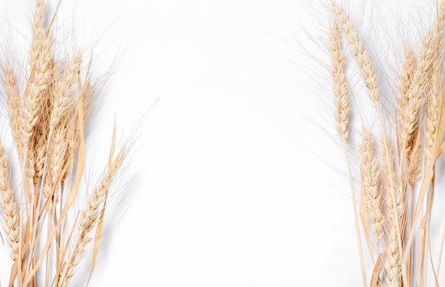 Zwei Garben Weizen auf einer weißen Oberfläche