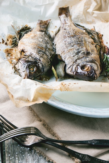 Zwei gegrillte Dorado-Fische