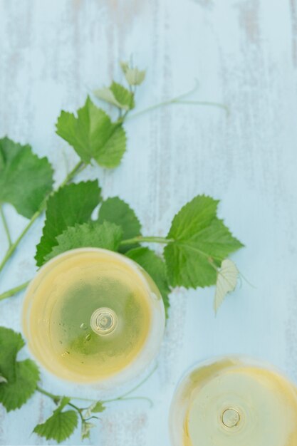 Zwei Gläser Weißwein mit Weinblättern auf hellblau