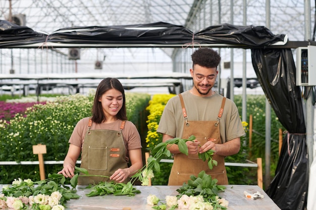 Zwei glückliche junge multikulturelle Blumenhändler sortieren einen Haufen frischer Eustomas