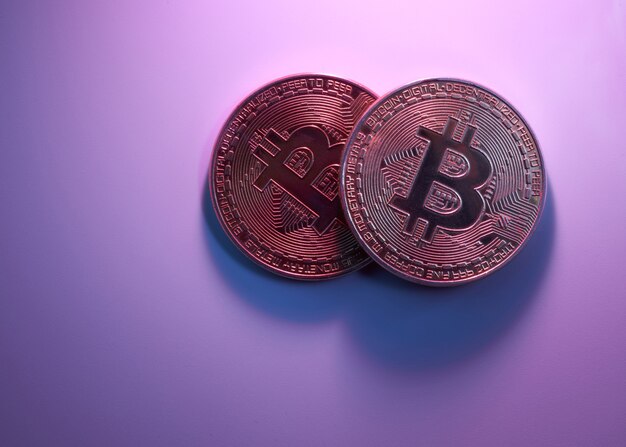 Zwei goldene Bitcoins isoliert auf rosa lila Hintergrund Nahaufnahme mit Kopierraum