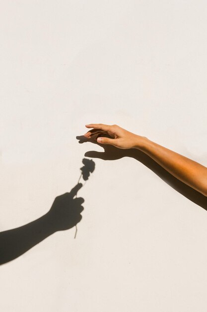 Zwei Hände, die Liebe machen, Herz-Schatten-Symbol auf weißem Hintergrund