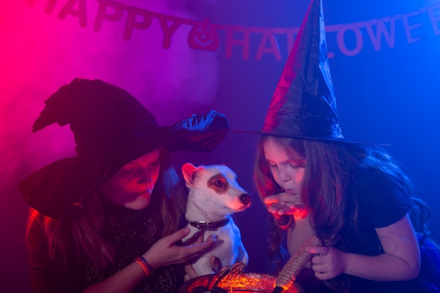 Zwei Halloween-Hexen, die mit Hund Jack Russell Terrier in den magischen Halloween-Nachtferien zaubern