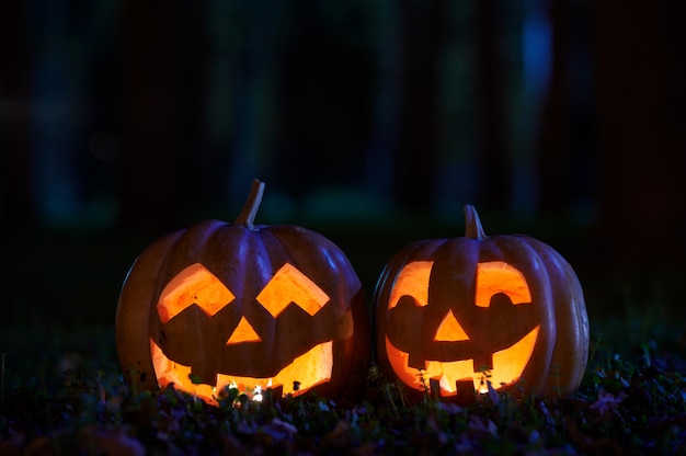 Zwei Halloween-Kürbisse im Park