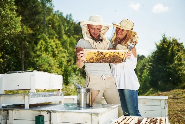 Zwei Imker arbeiten an sonnigen Tagen mit Waben voller Bienen im Freien. Mann und Frau.