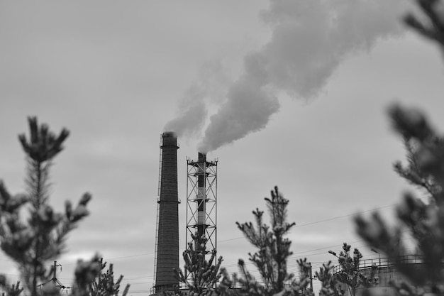 Zwei Industriepfeifen, die mit Rauch vor dem Hintergrund des Kiefernwinterwaldes in Schwarzweißfoto rauchen.