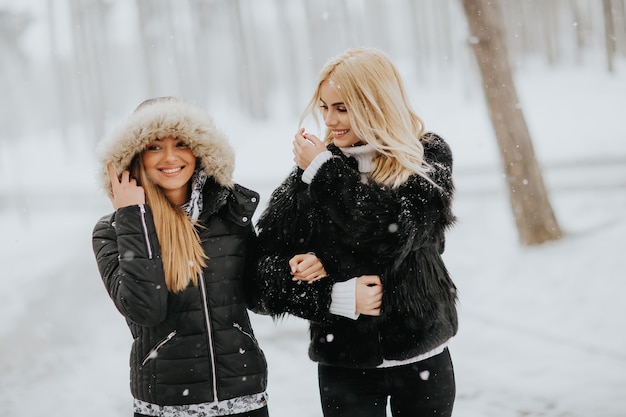 Zwei junge Frauen in einem Winterpark