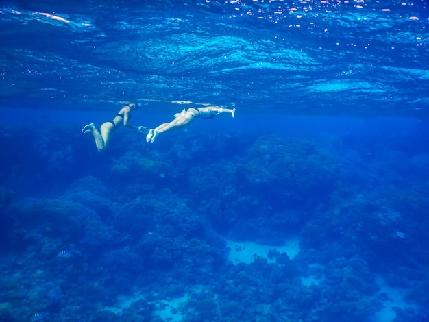 Zwei junge Mädchen im schwarzen Bikini schwimmen und schnorcheln im klaren blauen Meerwasser