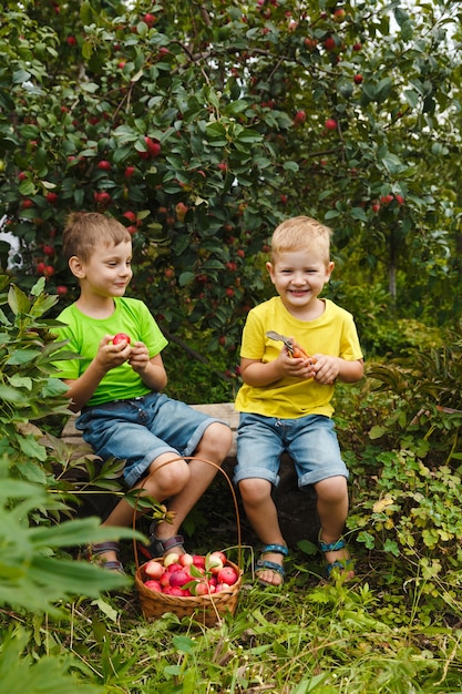 Zwei Jungen essen frische saftige Bio-Äpfel