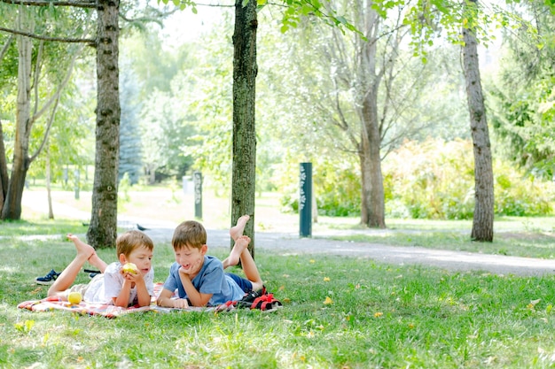 Zwei Jungen liegen auf einer Decke in einem grünen Park. Kinder lesen ein auf dem Boden liegendes Buch im Park. Kinder auf einem Picknick im Sommer, Bücher lesen. Sommerferien. Fernstudium in der Natur.