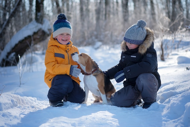 Zwei Jungen und ein Beagle-Hund, die im Winterwald gehen