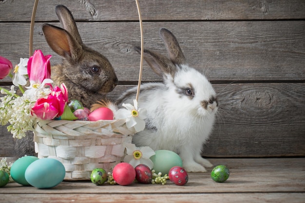 Zwei Kaninchen im Korb mit Ostereiern auf Holzhintergrund