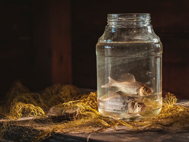 Zwei karpfenfische in einem glas auf dem tisch mit einem fischernetz. stillleben fischen.