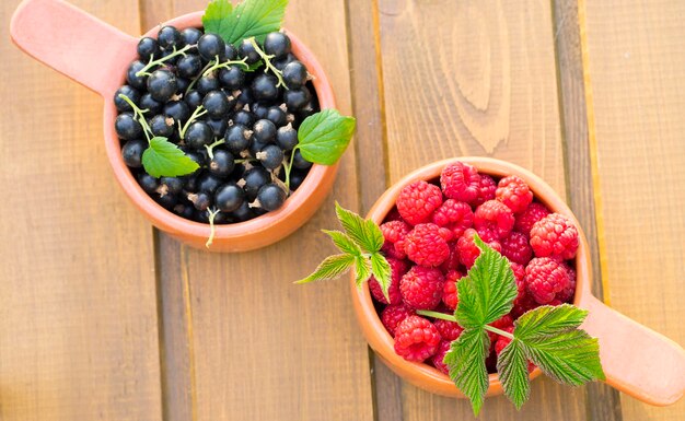 Zwei Keramikbehälter mit Himbeeren und schwarzen Johannisbeeren