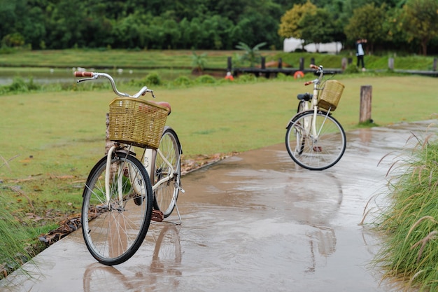 Zwei klassische Fahrräder parken auf nassem Weg im grünen Garten. romantisches Paar