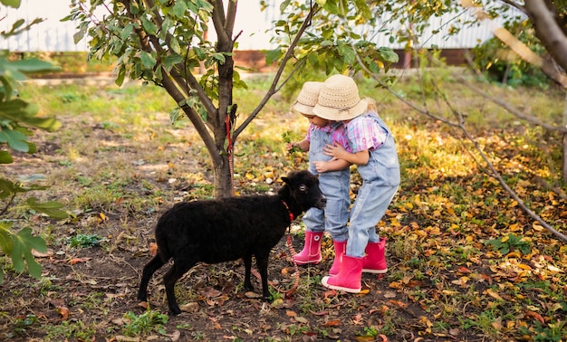 Zwei kleine blonde kinder, die im garten spielen. kinder füttern schwarze schafe