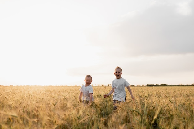 Zwei kleine Jungen rennen über das Frühlingsfeld und haben gemeinsam Spaß