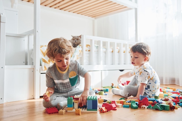 Zwei kleine Jungen vergnügen sich drinnen im Schlafzimmer mit dem Plastikbaukasten Katze sitzt hinter ihnen