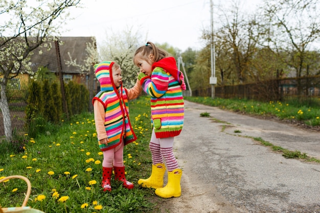 Zwei kleine Mädchen in hellen Kleidern halten sich gegenseitig die Hände zwischen dem gelben Löwenzahn. Glückliche Kindheit.