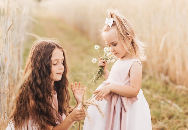 Zwei kleine Mädchenschwestern umarmen und sammeln Blumen im Sommer