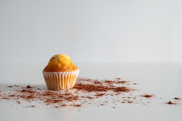 Zwei kleine Schokoladenmuffins mit Kakao bestreut