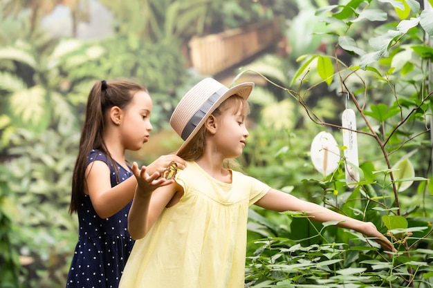 Zwei kleine Schwestern, die einen Schmetterling in ihren Händen halten. Kinder erkunden die Natur. Familienfreizeit mit Kindern im Sommer.