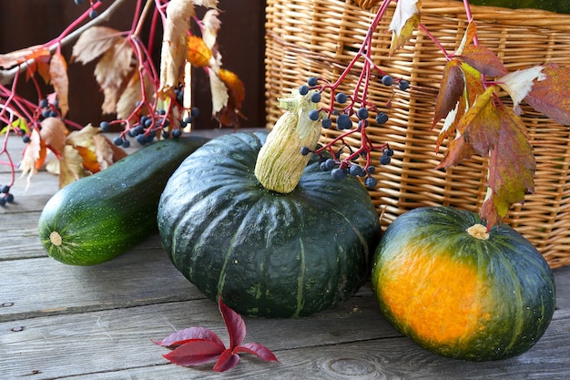 Zwei Kürbisse und Zucchini auf einem Holztisch auf dem Hintergrund eines Weidenkorbes