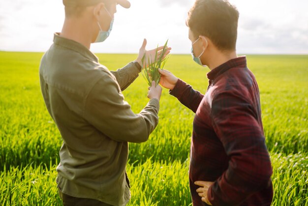 Zwei Landwirte in Schutzmaske mit Tablet im Feld Moderne AgrartechnikSmart Farming