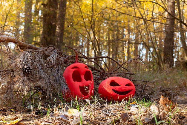 Zwei lustige rosafarbene Halloween-Kürbisse ein Symbol für das Fest aller Heiligen auf getrocknetem Gras