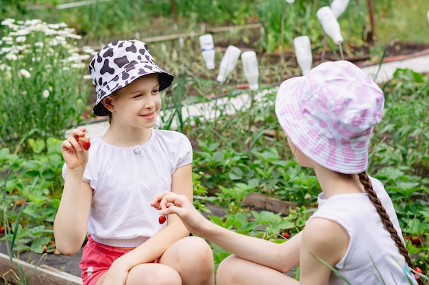 Zwei Mädchen zeigen sich gegenseitig gepflückte Erdbeeren in einem rustikalen Garten