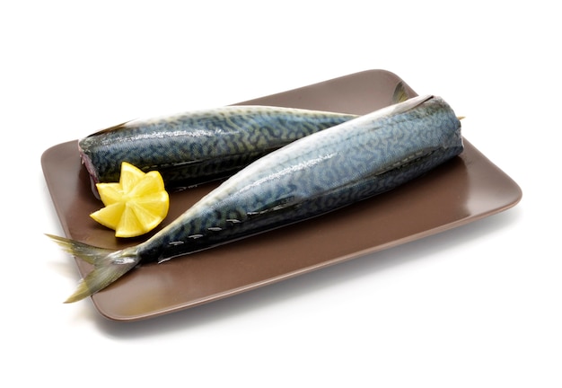 Zwei Makrelenfischfilets auf braunem Teller