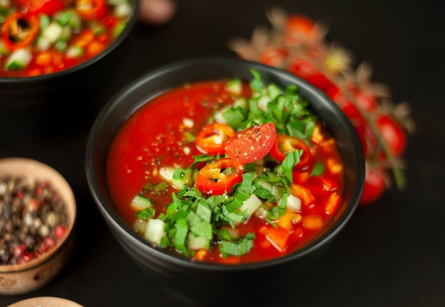 Zwei Platten der traditionellen spanischen kalten Tomaten-Gazpacho-Suppe auf Betonhintergrund