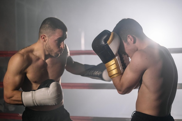 Zwei professionelle junge muskulöse hemdlose männliche Boxer kämpfen in einem Boxring Hochwertige Fotografie