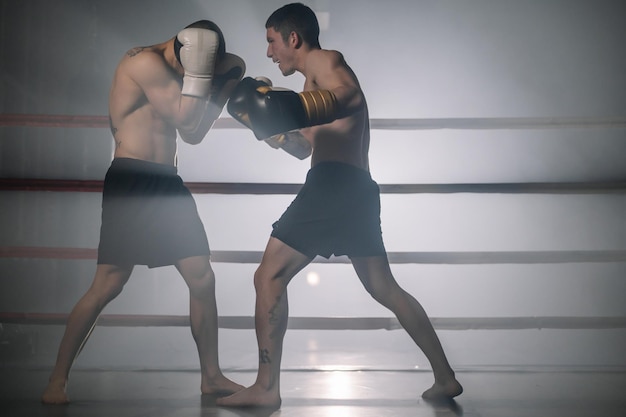 Zwei professionelle junge muskulöse hemdlose männliche Boxer kämpfen in einem Boxring Hochwertige Fotografie