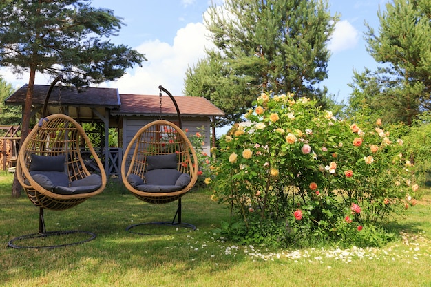 Zwei Rattan-Kokon-Korbstühle in der Nähe von blühenden Rosen im Hinterhof im Sommer, sonniger Tag