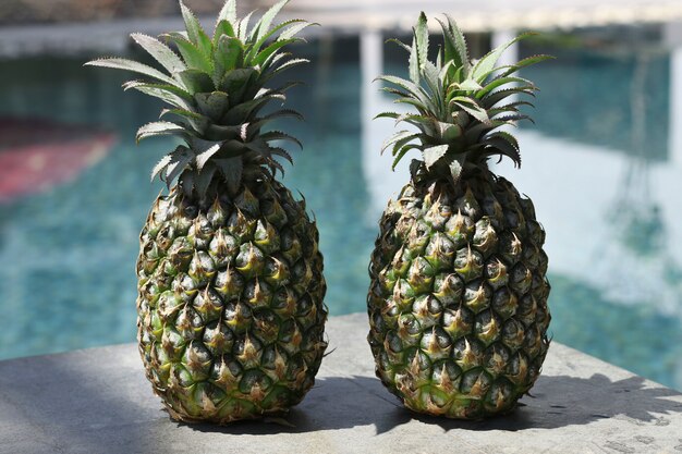 Zwei reife Ananas am Rand des Pools