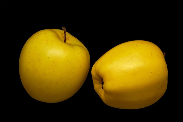 Zwei reife gelbe Äpfel auf schwarzem Hintergrund