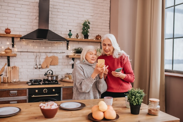 Zwei reife grauhaarige positive Damen, die Fotos online ansehen